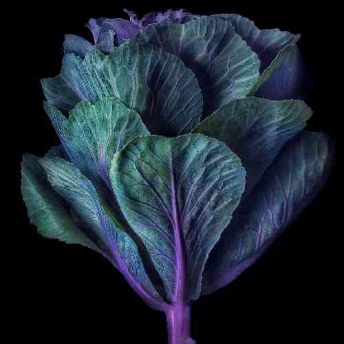 اسماعیل عارف چقد این صحنه ی تاریک رفتن